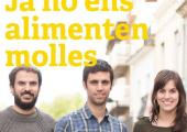 Cartell de campanya